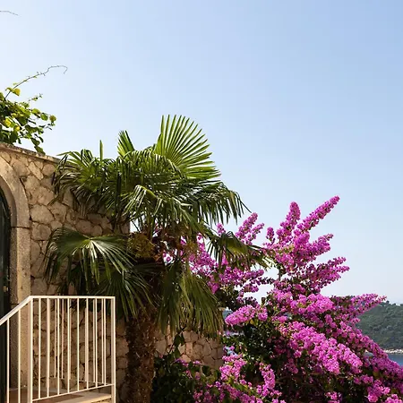Casa Kondelli