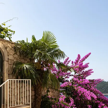 Casa Kondelli